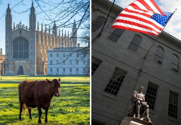 Why Cambridge and Cambridge need each other